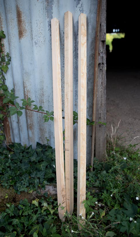 stakes made from maritime pine